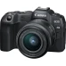 Системная фотокамера Canon EOS R8 RF 24-50mm F4.5-6.3 IS STM (5803C016)