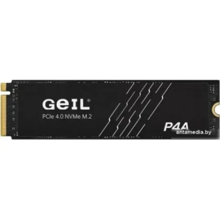 SSD накопитель Geil P4AAC16I512D