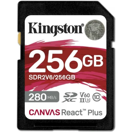 Карта памяти Kingston SDR2V6/256GB