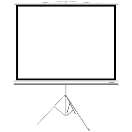 Экран XG DLS-T244x183W