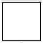 Экран настенный XG 96"х96" DLS-M244W