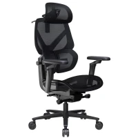 Игровое кресло ThunderX3 Flex Pro-Mesh Black, (TEGC-3076101.12) Игровое кресло ThunderX3 Flex Pro-Mesh Black, (TEGC-3076101.12)