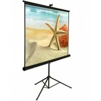 Экран Mr.Pixel ECO MAGNASDB135V2