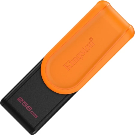 Flash-накопитель Kingston DTXS/256GB