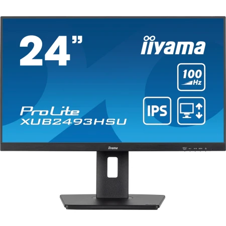 Монитор iiyama ProLite PL2493HS (XUB2493HSU-B7)