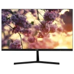 Монитор Sanc M2453KJ V3, Black