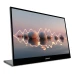Монитор Lenovo L16, (68F4UAC1WL)