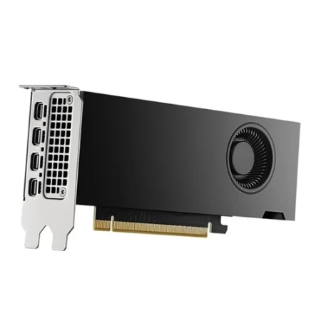 Видеокарта Dell RTX 2000 Ada Generation 16 GB (490-BKLT) Видеокарта Dell RTX 2000 Ada Generation 16 GB (490-BKLT)