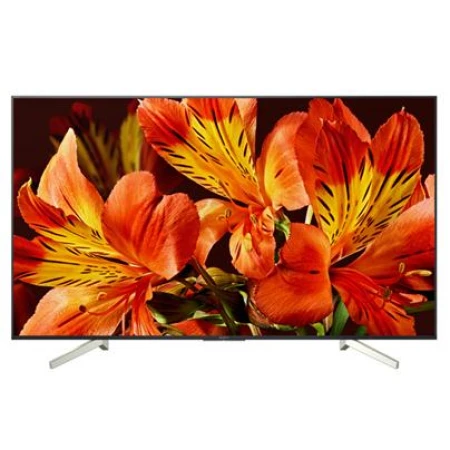 Телевизор Sony KD49XF8596BR2 Телевизор Sony KD49XF8596BR2
