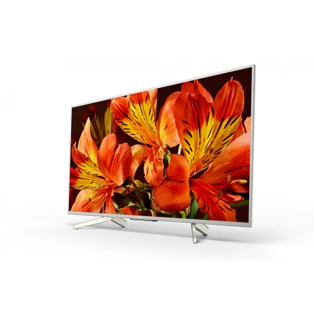 Телевизор Sony KD55XF8596BR2 Телевизор Sony KD55XF8596BR2