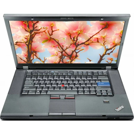 Ноутбук Lenovo ThinkPad T520 Ноутбук Lenovo ThinkPad T520