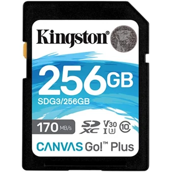 Карта памяти Kingston Canvas Go! Plus SD 256GB, Class 10 UHS-I U3, (SDG3/256GB)