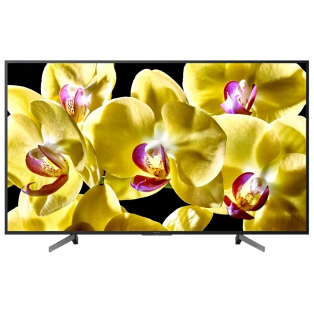 Телевизор Sony KD49XG8096BR2 Телевизор Sony KD49XG8096BR2