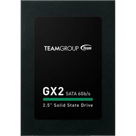 SSD диск Team Group GX2 256GB, (T253X2256G0C101)