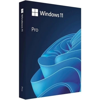 Win 11 Pro GGK 64Bit Eng Intl 1pk DSP ORT OEI DVD (4YR-00316)